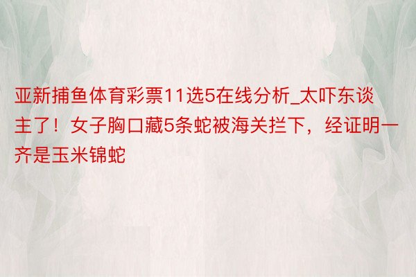 亚新捕鱼体育彩票11选5在线分析_太吓东谈主了！女子胸口藏5条蛇被海关拦下，经证明一齐是玉米锦蛇