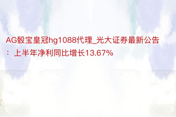 AG骰宝皇冠hg1088代理_光大证券最新公告：上半年净利同比增长13.67%