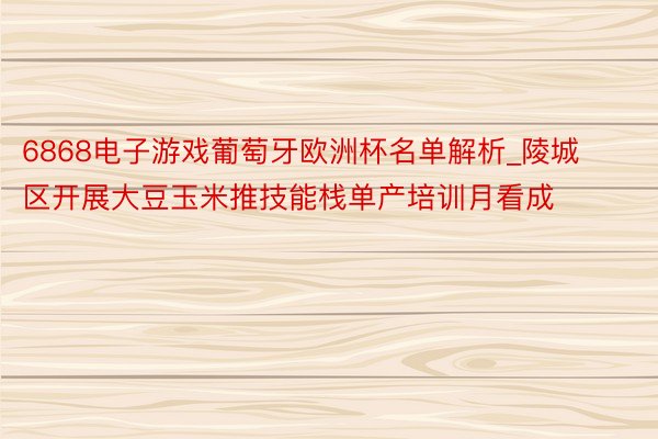 6868电子游戏葡萄牙欧洲杯名单解析_陵城区开展大豆玉米推技能栈单产培训月看成