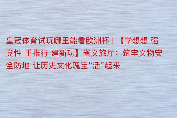 皇冠体育试玩哪里能看欧洲杯 | 【学想想 强党性 重推行 建新功】省文旅厅：筑牢文物安全防地 让历史文化瑰宝“活”起来