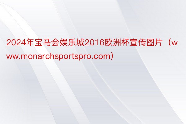 2024年宝马会娱乐城2016欧洲杯宣传图片（www.monarchsportspro.com）