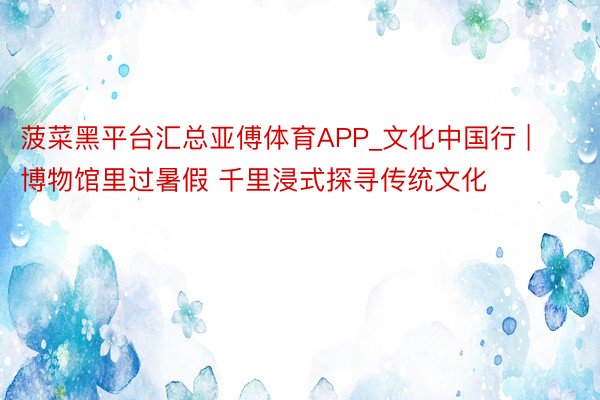 菠菜黑平台汇总亚傅体育APP_文化中国行 | 博物馆里过暑假 千里浸式探寻传统文化