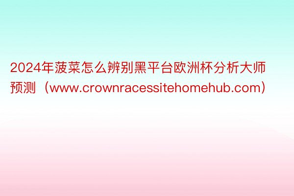 2024年菠菜怎么辨别黑平台欧洲杯分析大师预测（www.crownracessitehomehub.com）